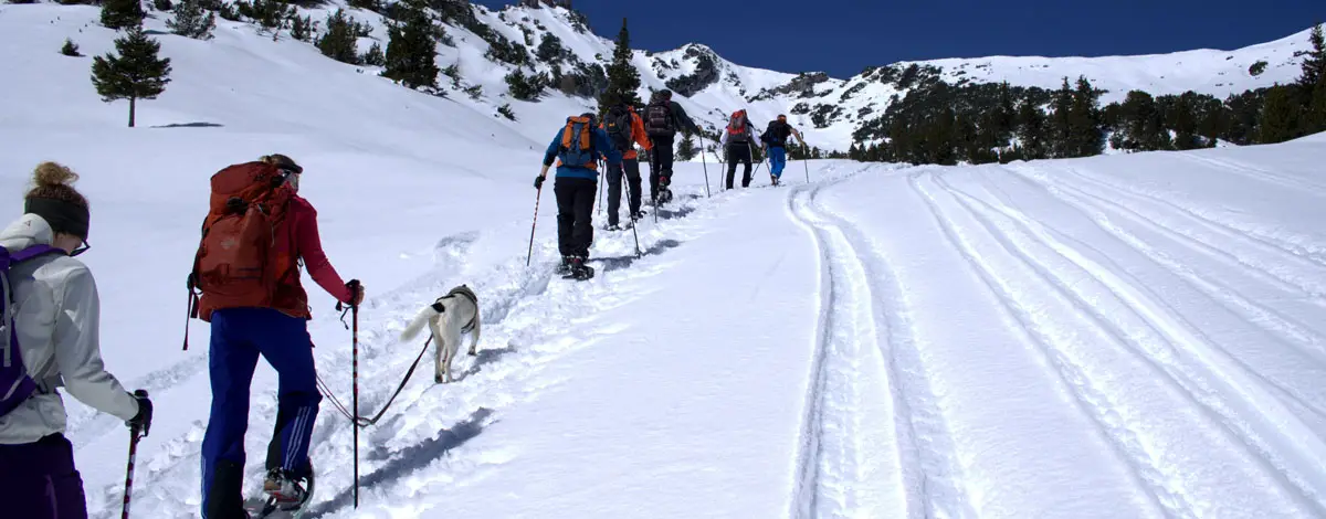 Checkliste: Schneeschuhwandern Checkliste: Schneeschuhwandern
