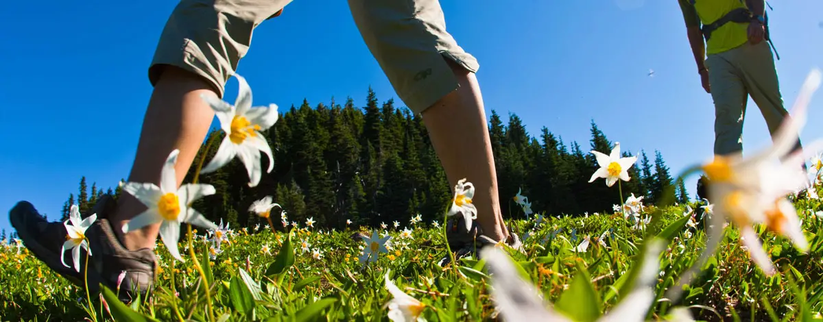 Ratgeber: leichte Wanderschuhe Ratgeber: leichte Wanderschuhe