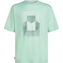 Icebreaker Herren 150 Tech Lite Mountain Shift T-Shirt