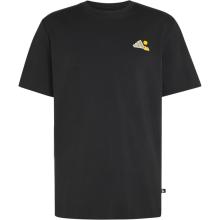 adidas Terrex Herren Camper Graphic T-Shirt