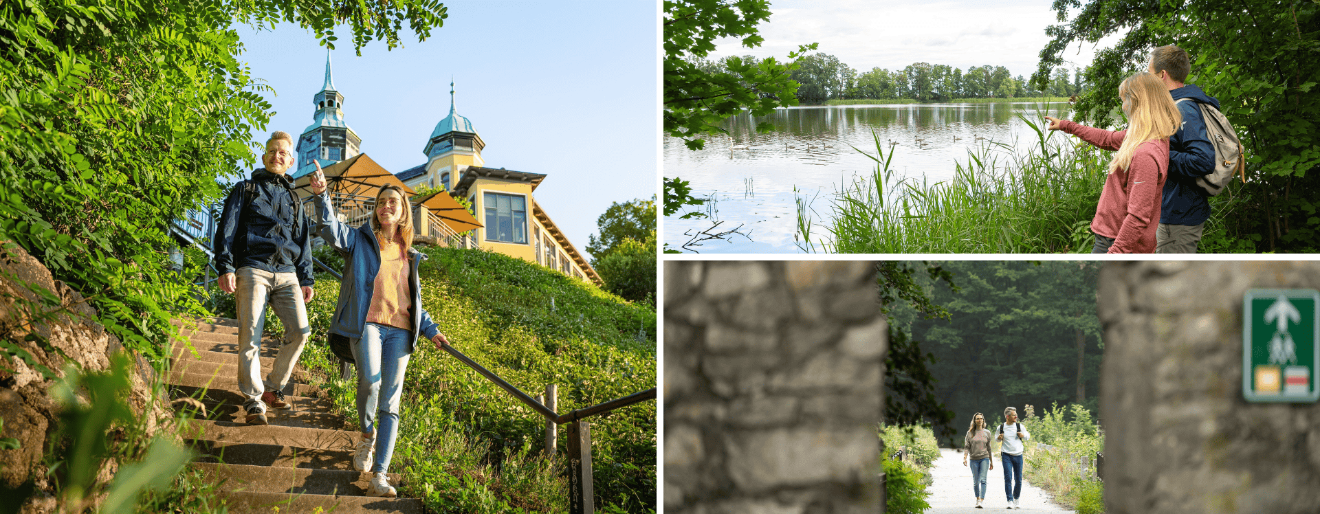 5 Wanderungen in Dresden Elbland - Sachsen