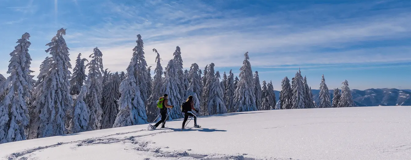 Schneeschuhwandern Schwarzwald