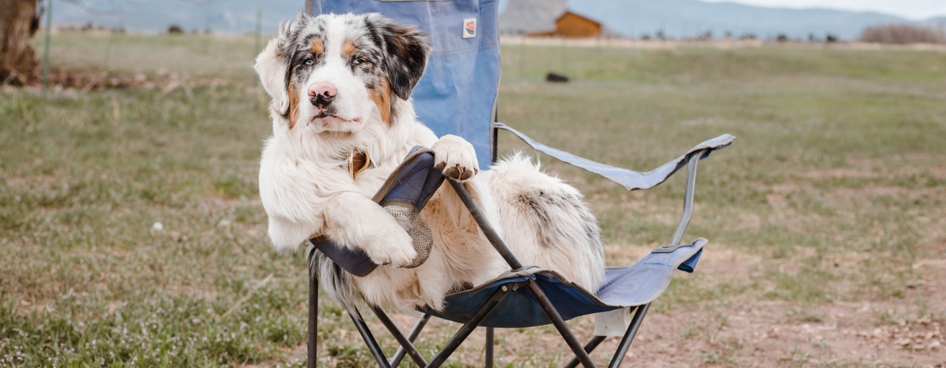 Ratgeber: Campingstühle