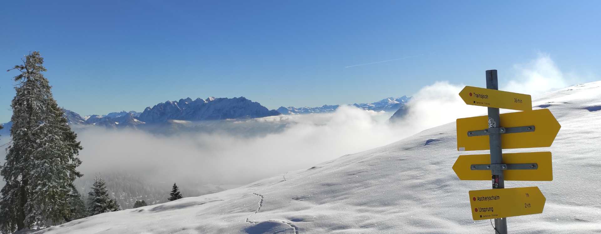 Produkt-Tester summitlove Header