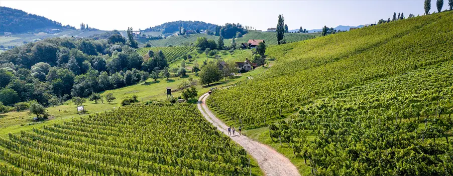 5 genüssliche Wanderungen in der Südsteiermark - Österreich