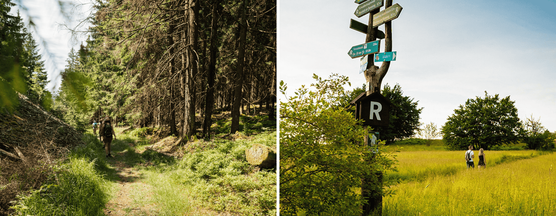 3 herrliche Wandertouren in der Region Coburg.Rennsteig - Thüringen/Franken