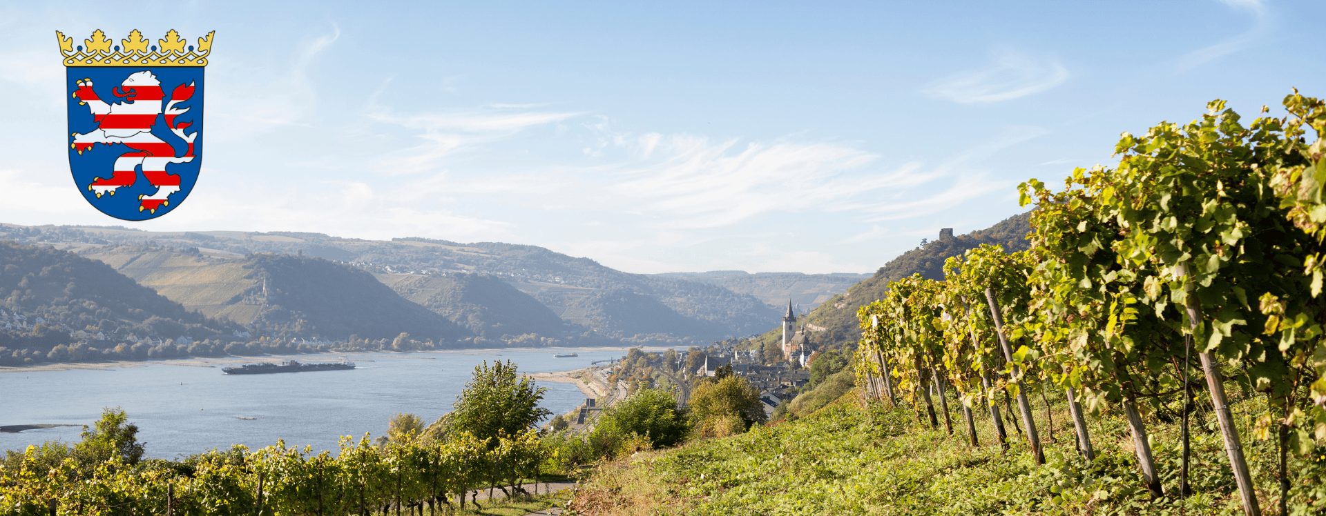 Rheingau Wisper-Trails 