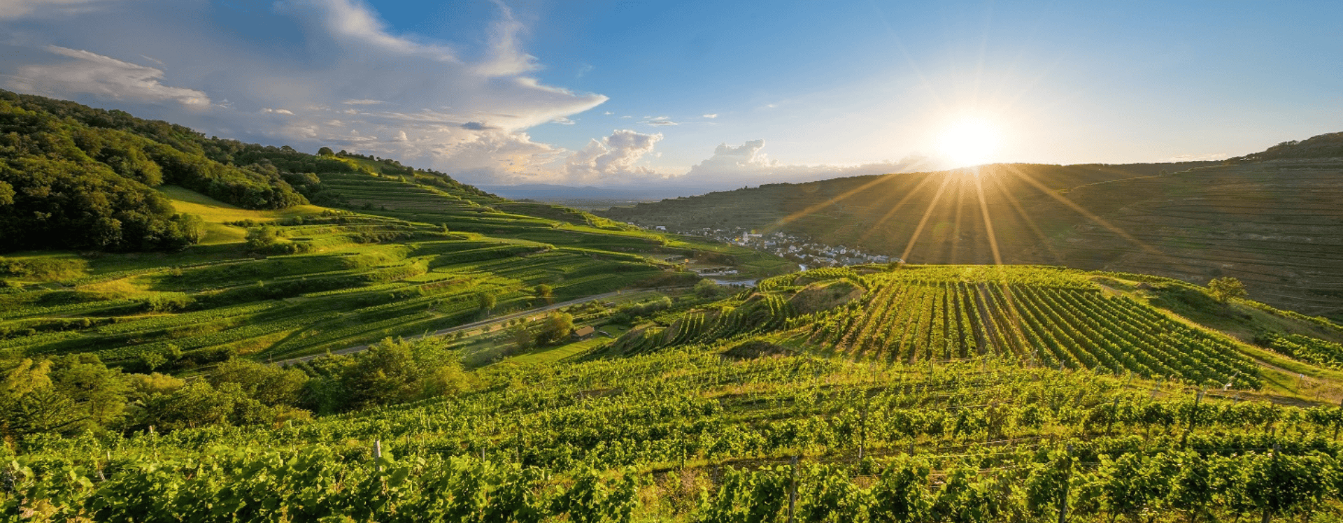 5 herbstliche Tageswanderungen im Schwarzwald - Baden-Württemberg