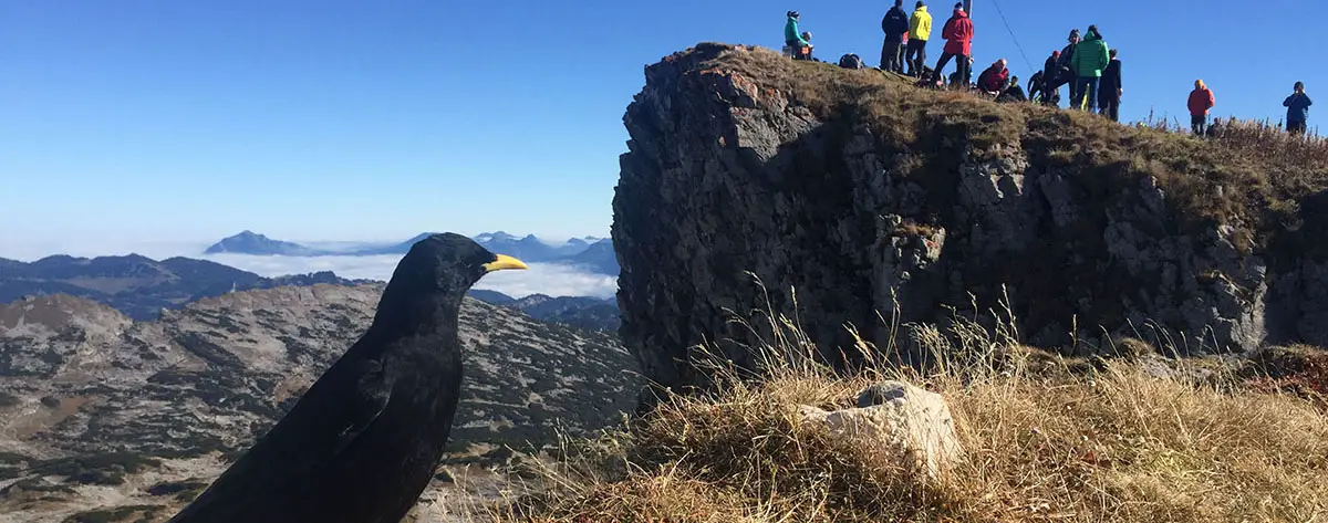 OUTSIDEstories Unterwegs Tipp Herbst-Wandern Kleinwalsertal