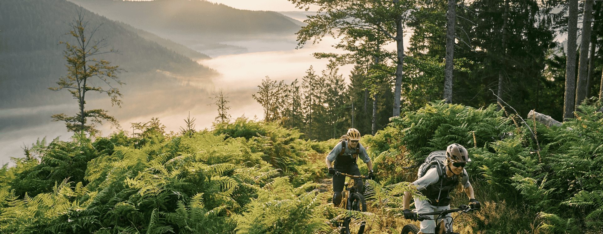 Mountainbike-Tipps Baiersbronn - Schwarzwald - Deutschland