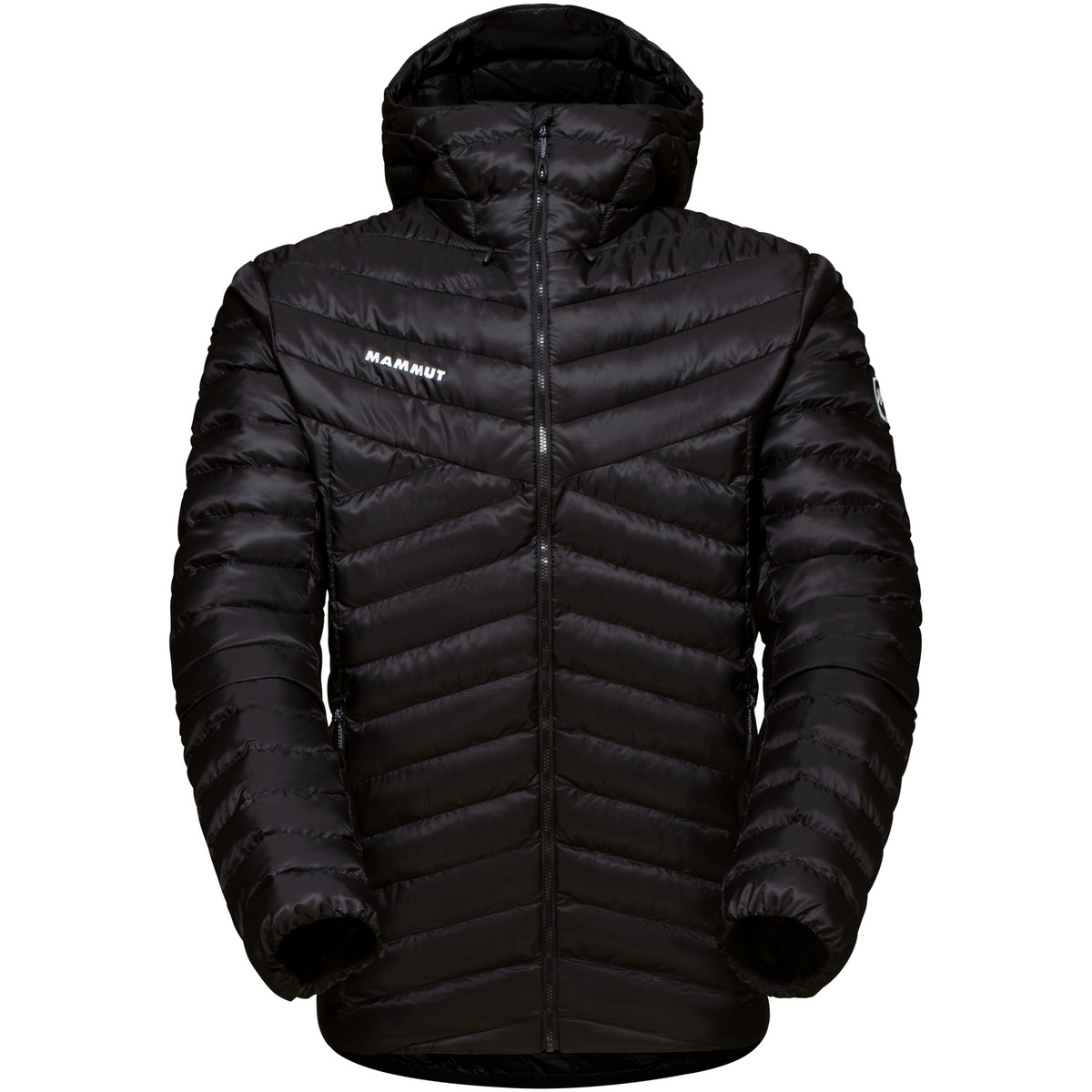 Mammut Herren Albula In Hoodie Jacke