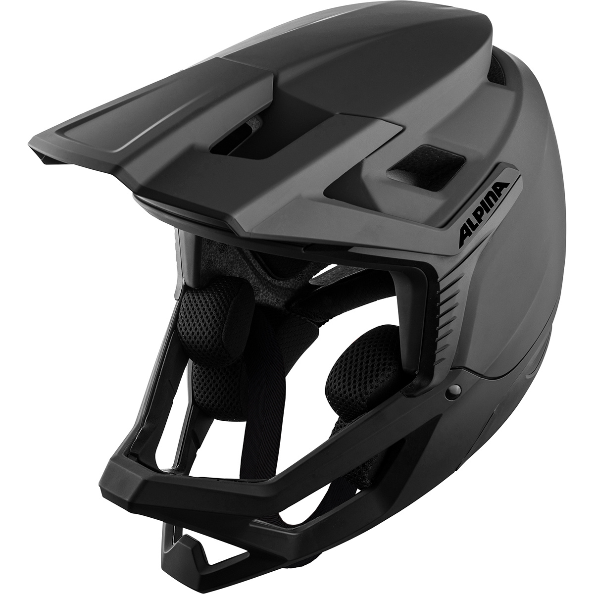 Alpina Roca Fahrradhelm