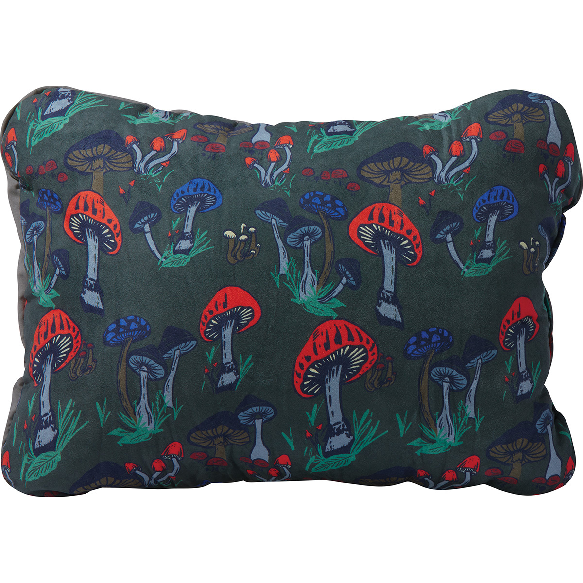 Therm-A-Rest Compressible Cinch Kissen