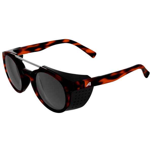 Alpina - Glace S3 - Gletscherbrille schwarz