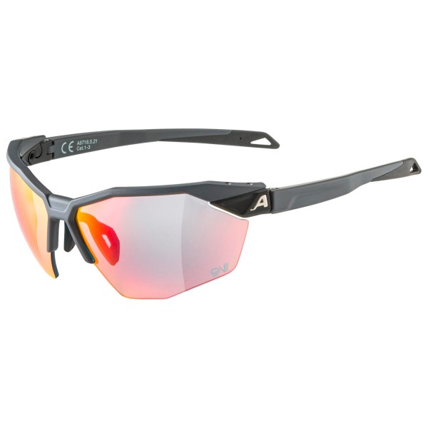 Alpina - Twist Six HR QV Mirror S1-3 Fogstop - Fahrradbrille grau