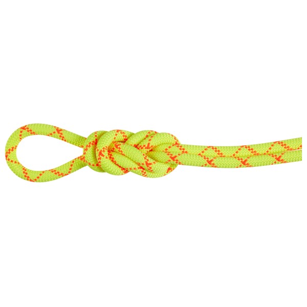 Mammut - 9.5 Alpine Core Protect Dry Rope - Einfachseil Gr 30 m gelb