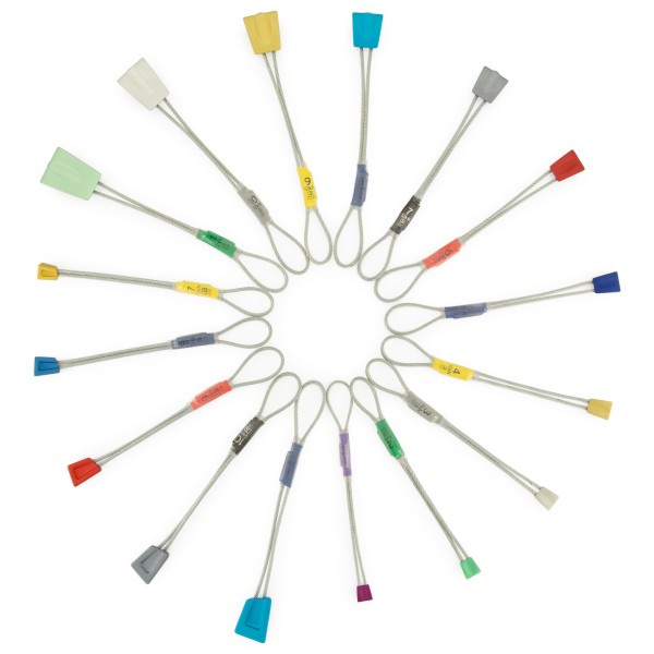 DMM - Starter's Nut Protection Set - Klemmkeil multicolor
