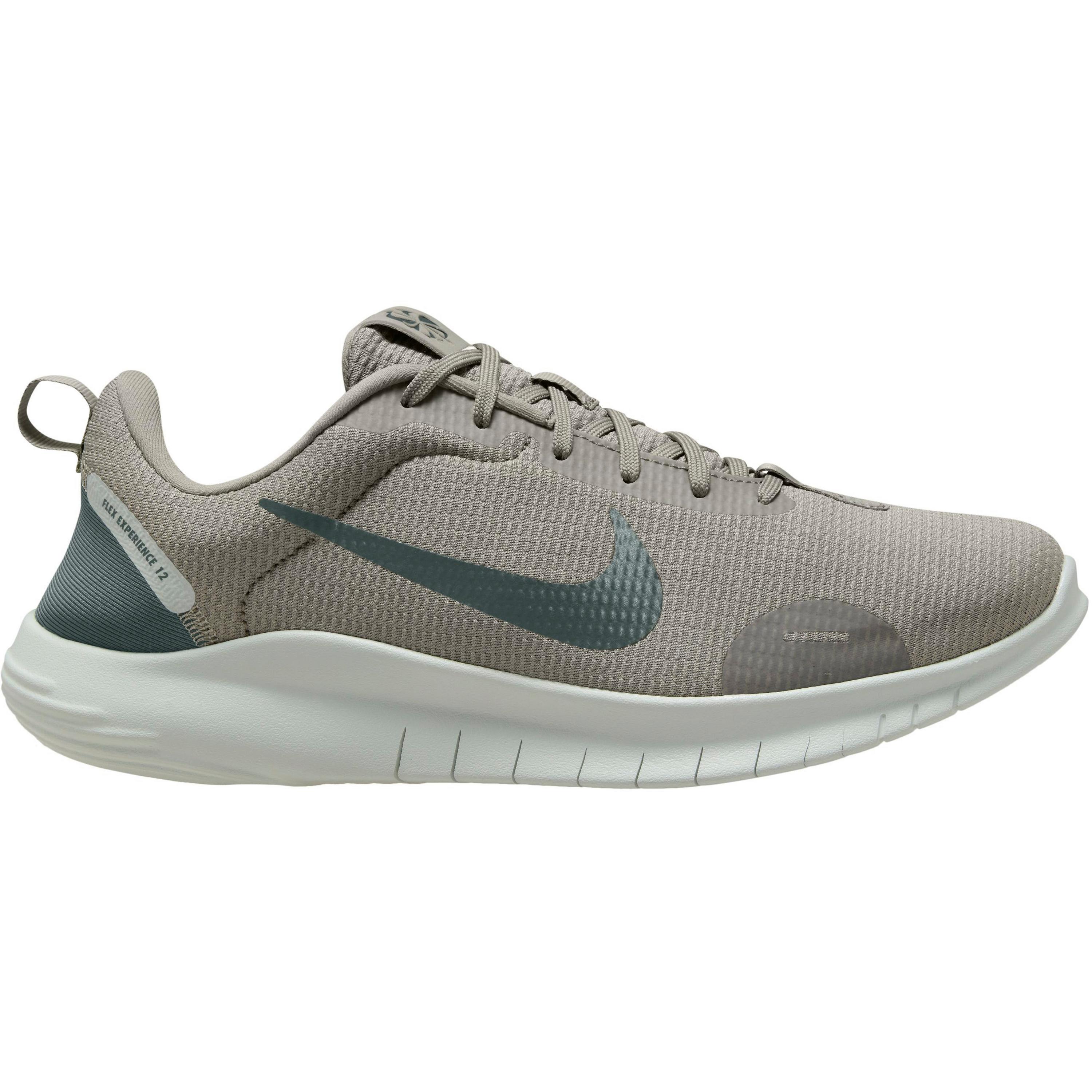 Nike FLEX EXPERIENCE RN 12 Fitnessschuhe Herren