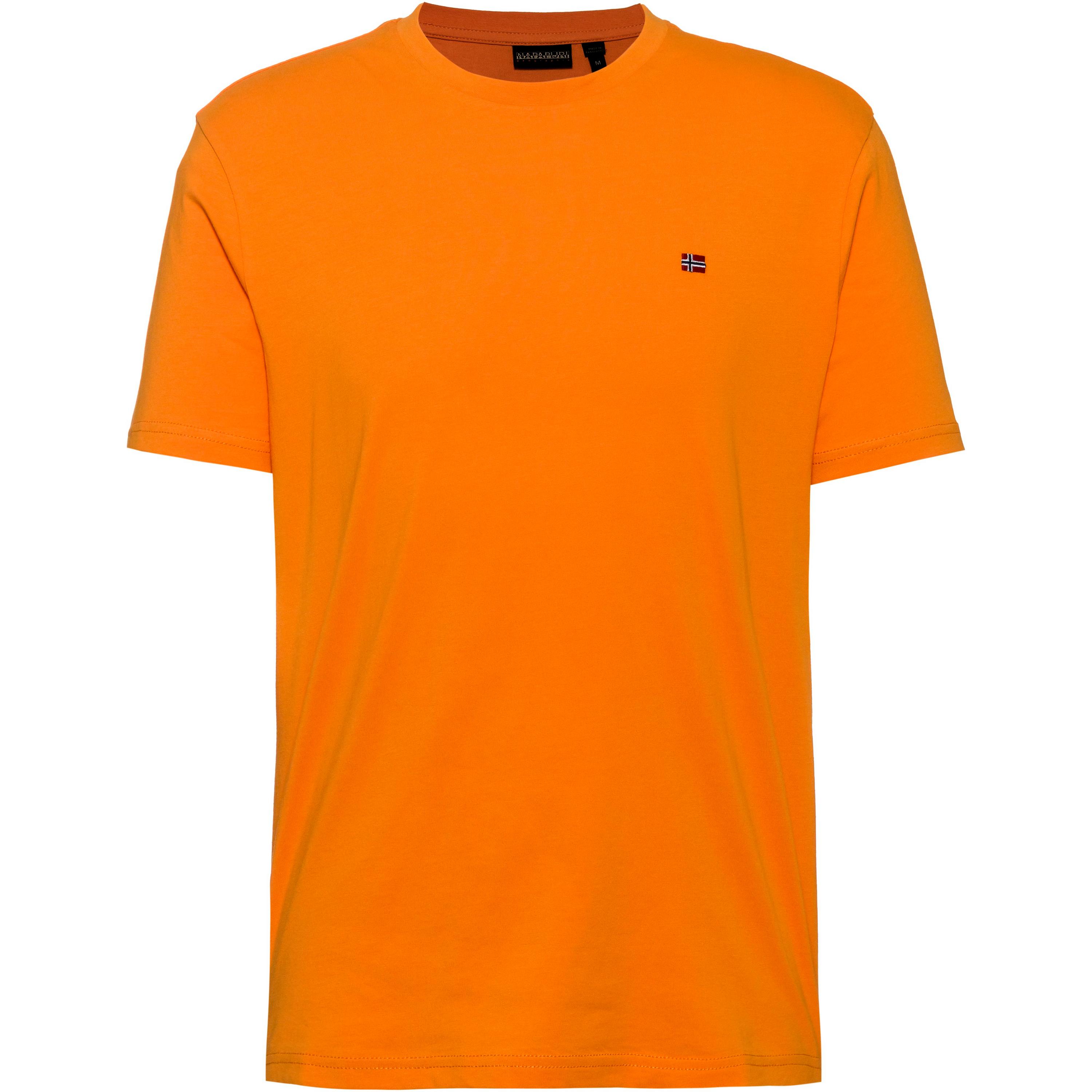 Napapijri Salis T-Shirt Herren