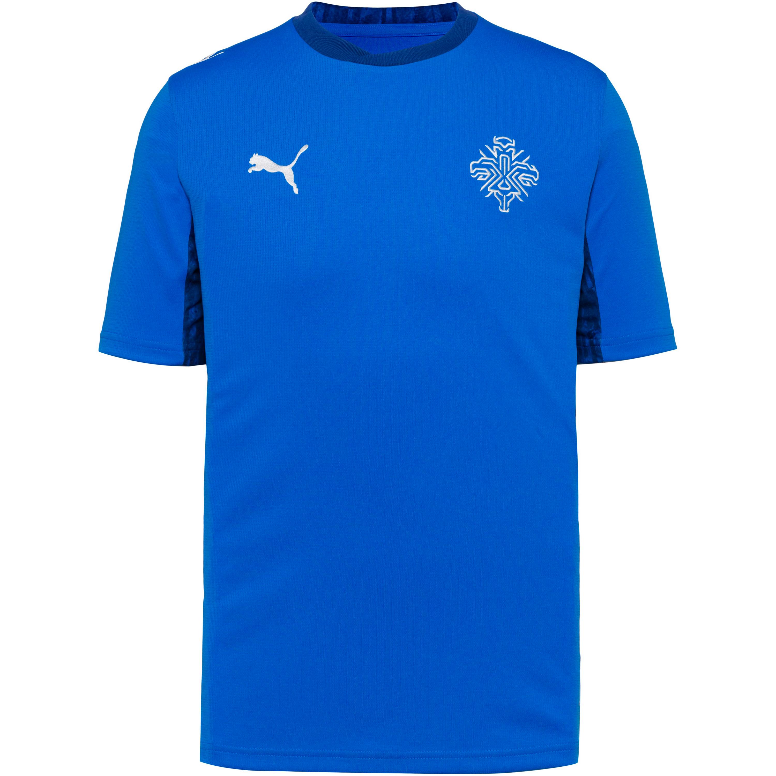PUMA WM 2026 Island Heim Teamtrikot Herren