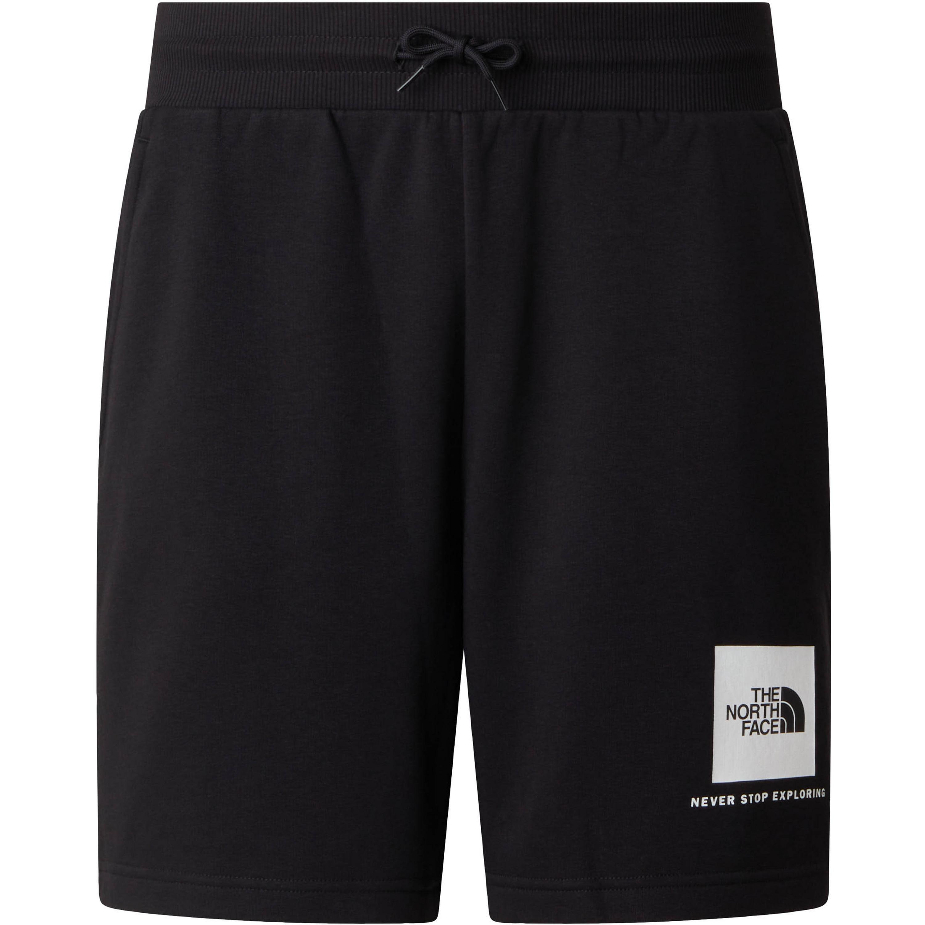 The North Face BOX NSE LIGHT Shorts Herren
