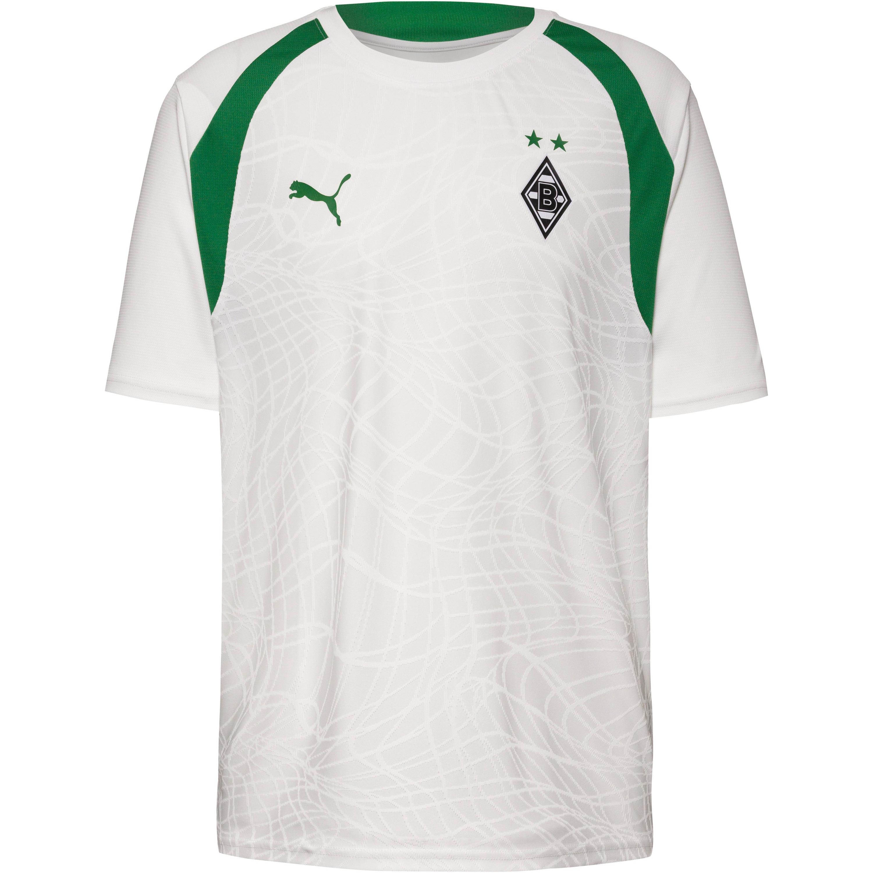 PUMA BMG Training Trikot Herren