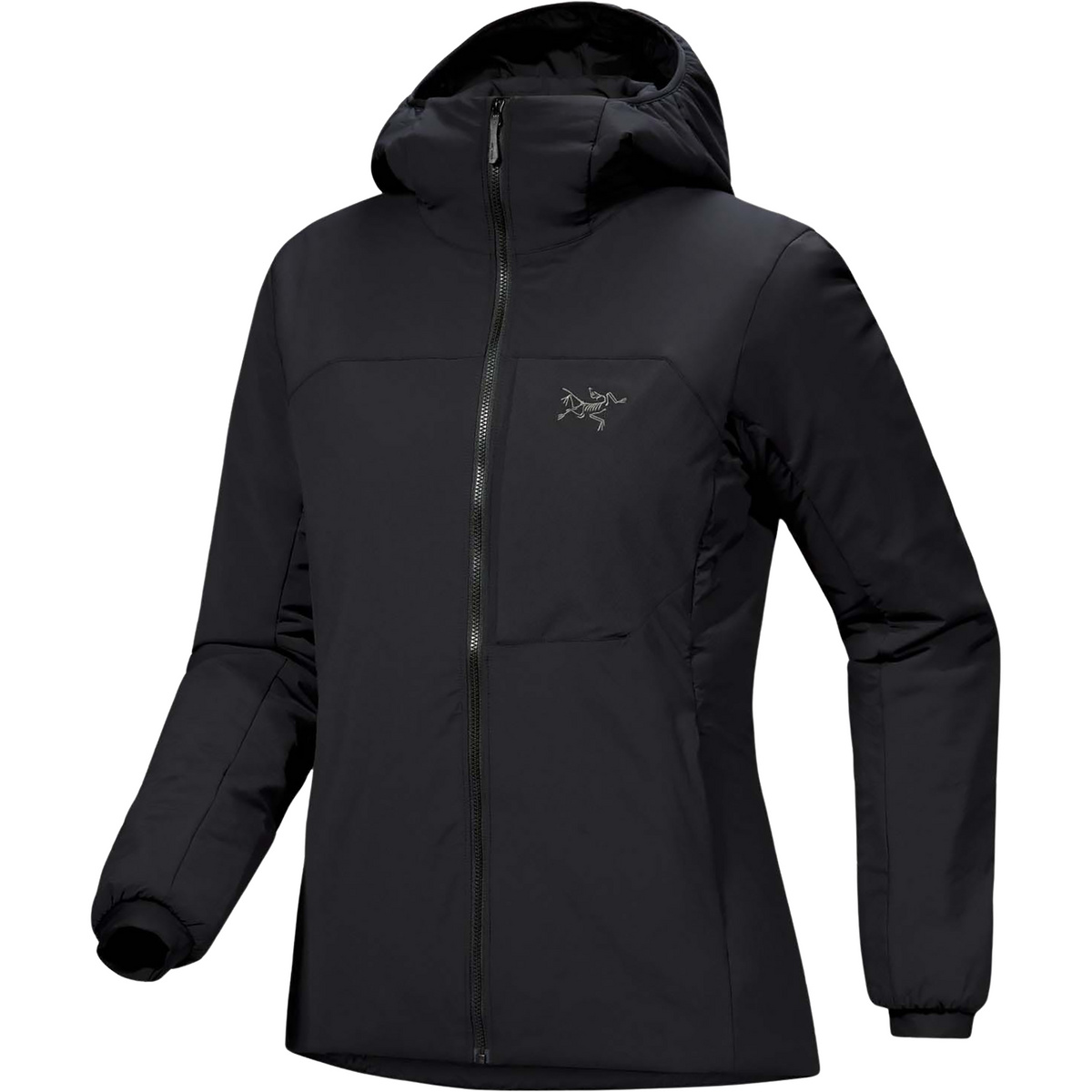 Arc'teryx Damen Proton Heavyweight Hoodie Jacke