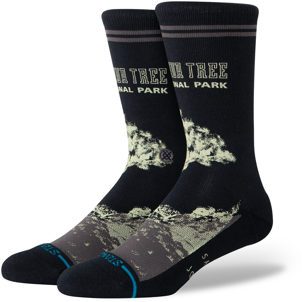 Stance Joshua Tree Npf Socken