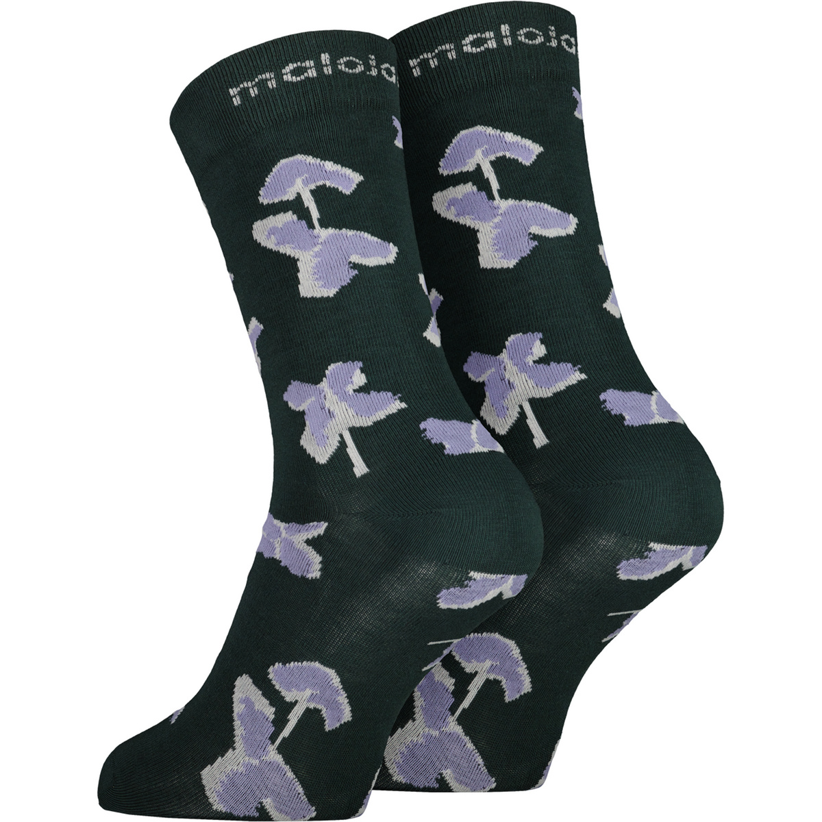 Maloja ErminiaM. Socken