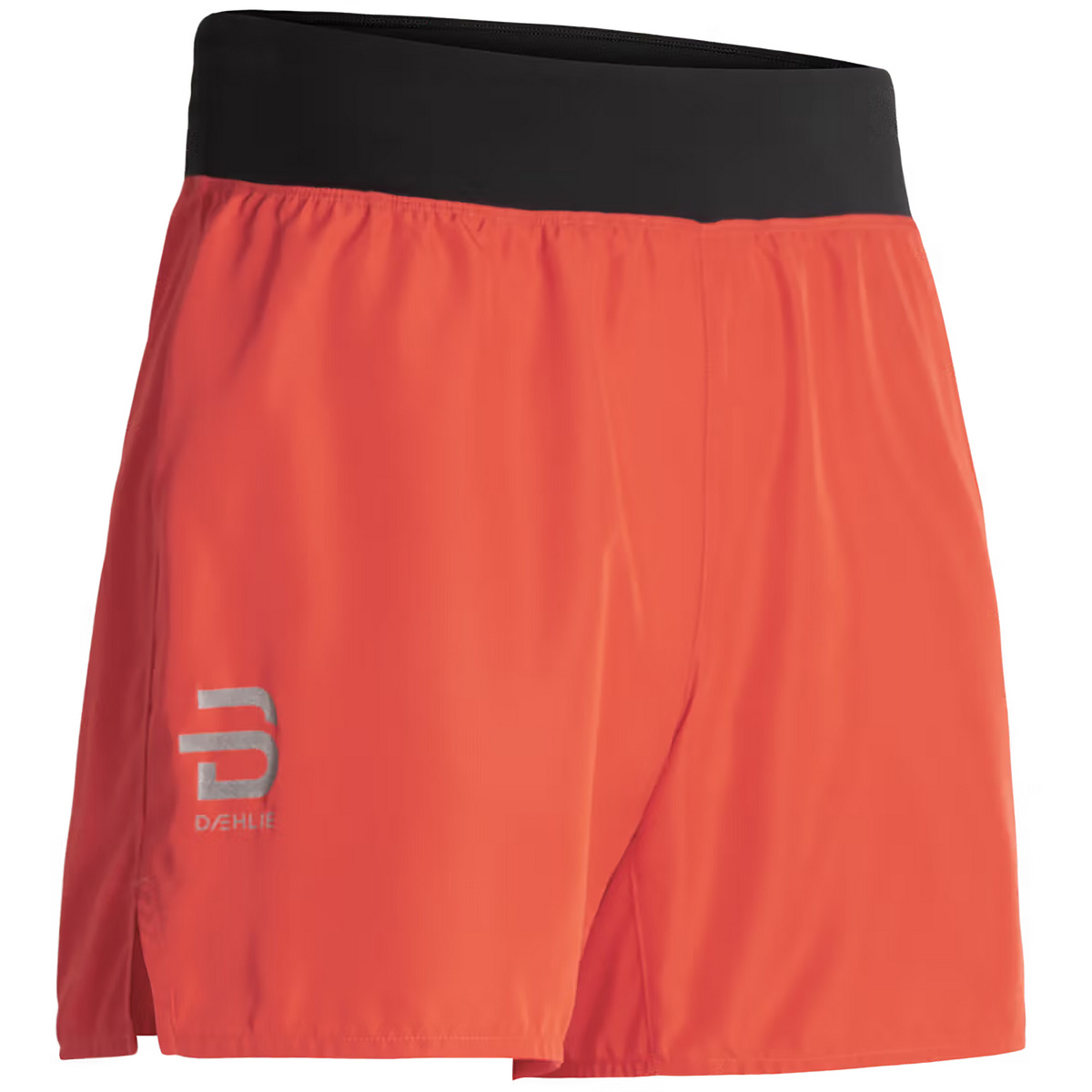 Daehlie Herren Air 5" Shorts