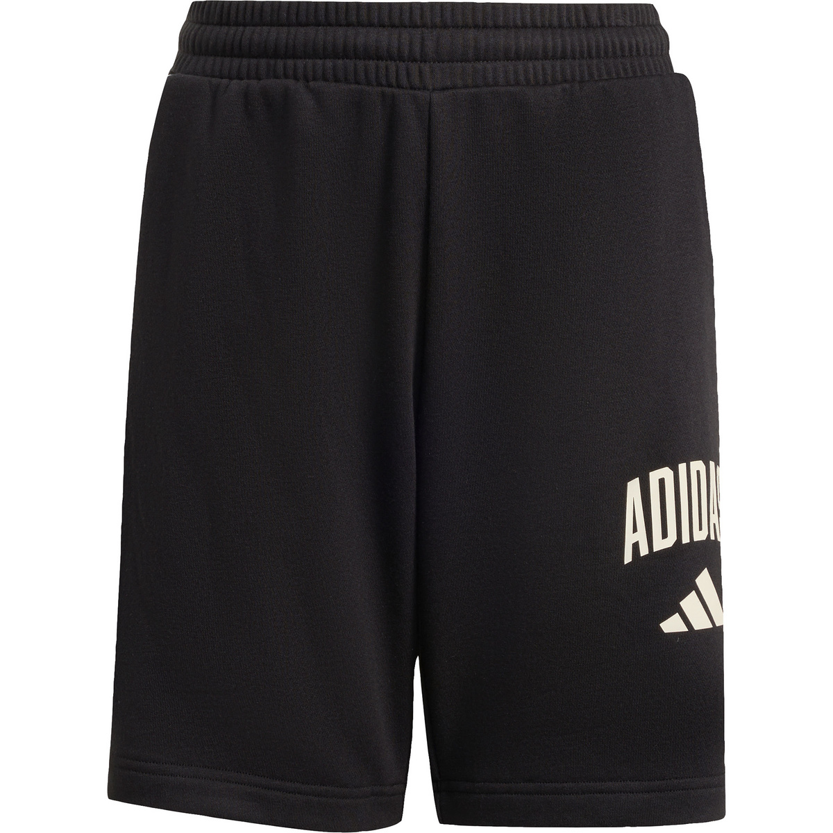 adidas Kinder Collegiate Typography Shorts