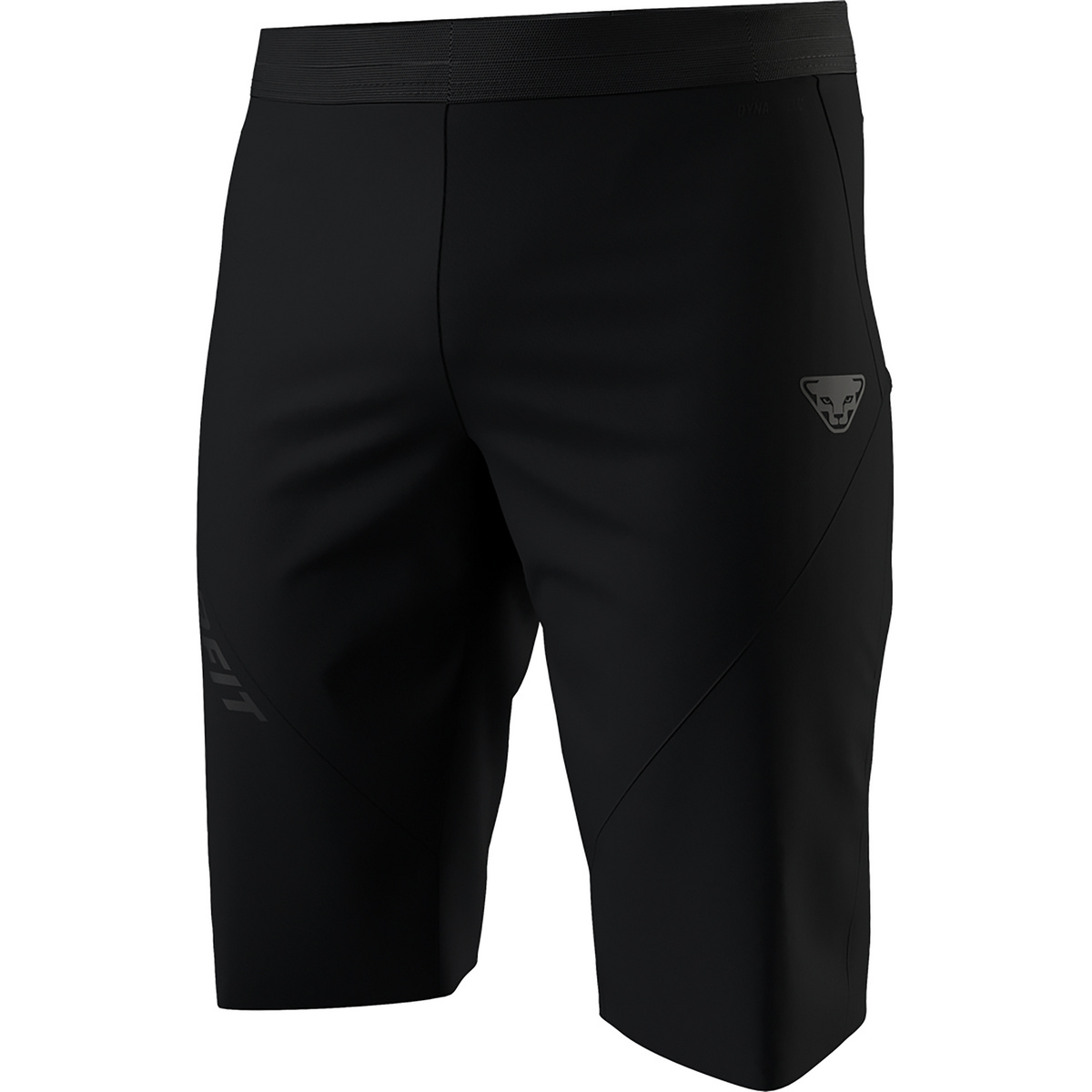 Dynafit Alpine WP Shorts