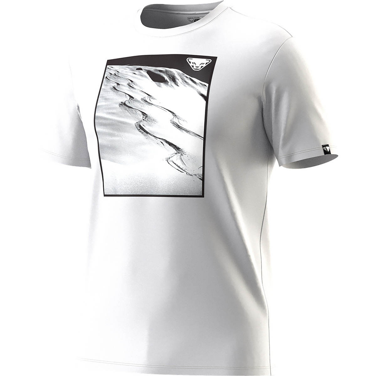Dynafit Herren Graphic Cotton T-Shirt