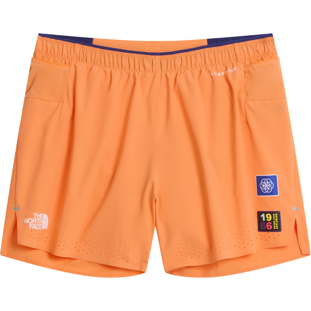 The North Face Herren Summit Pacesetter Graphic Shorts