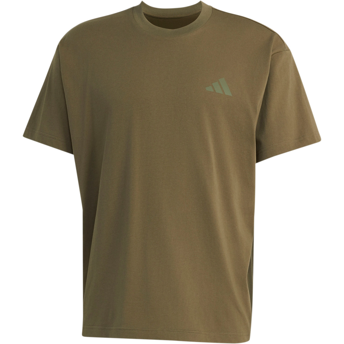 adidas Terrex Herren Elements Graphic T-Shirt