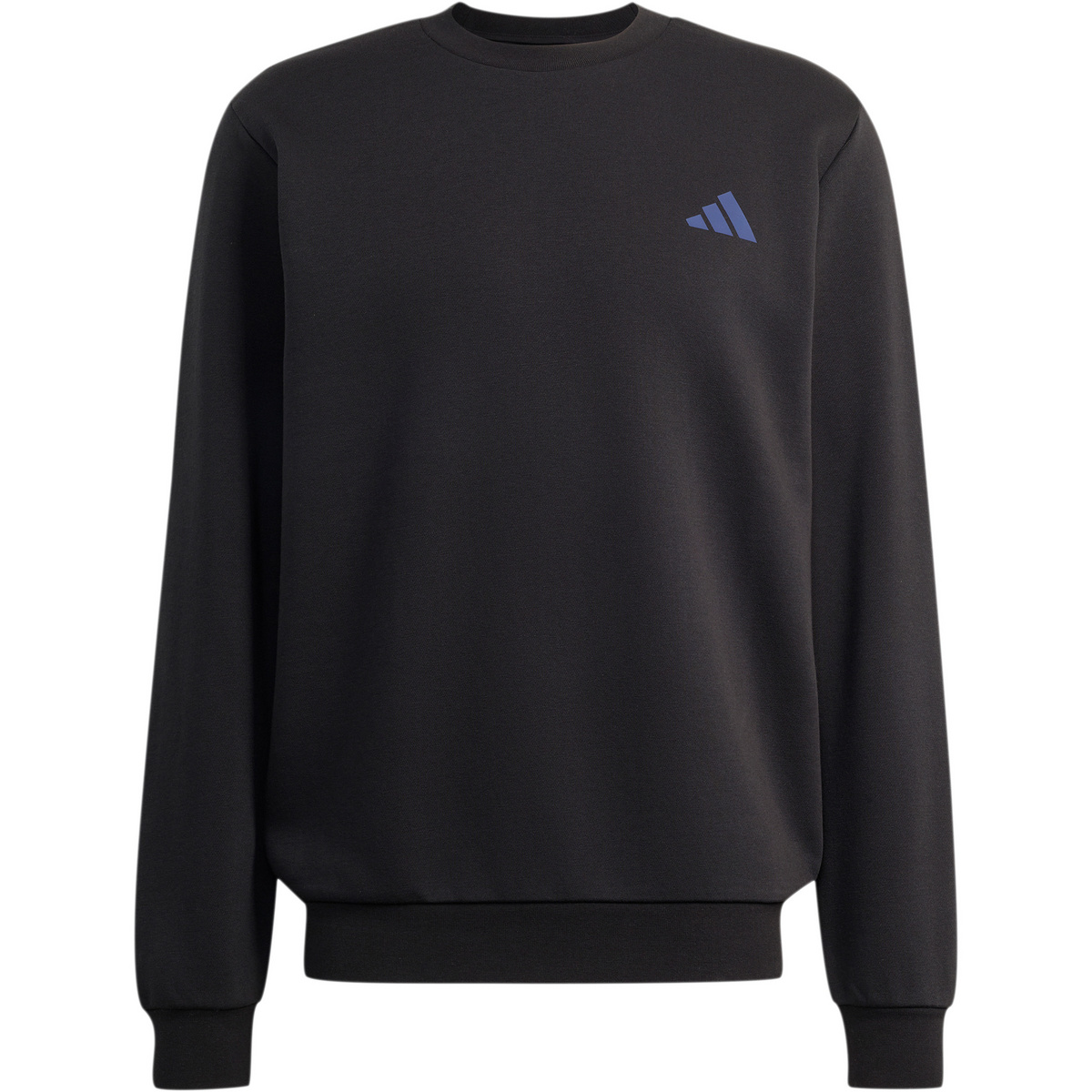 adidas Terrex Herren Snow Sport Graphic Pullover