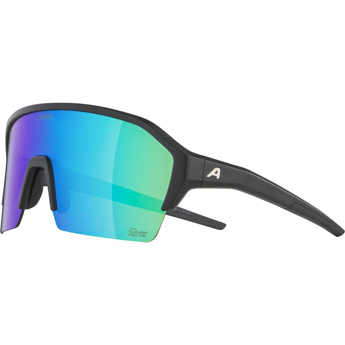 Alpina Ram HR HR HM+ Sportbrille