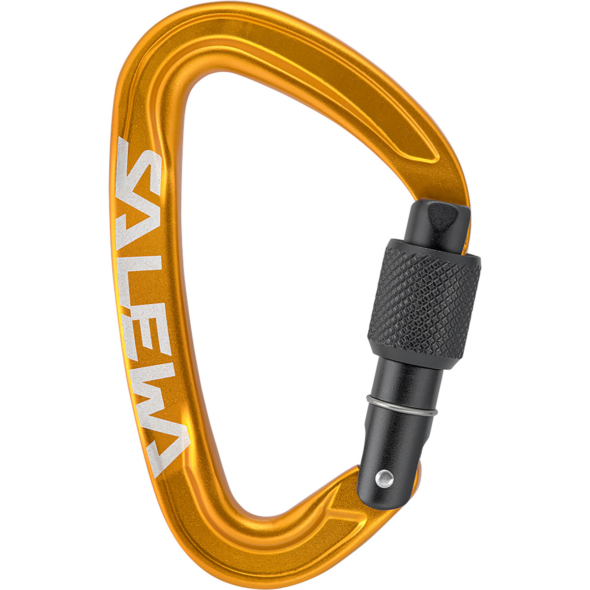 Salewa Ortles Screw Karabiner