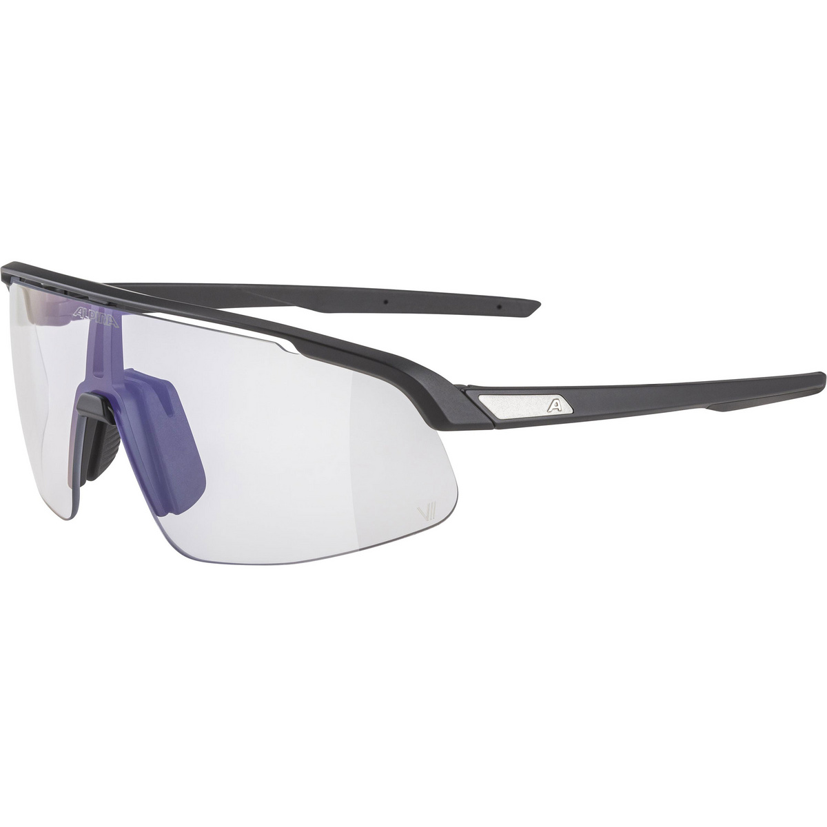 Alpina Turbo Pro S Sportbrille