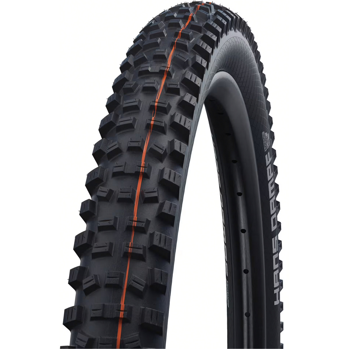 Schwalbe Hans Dampf Evolution Line HS 491 Reifen