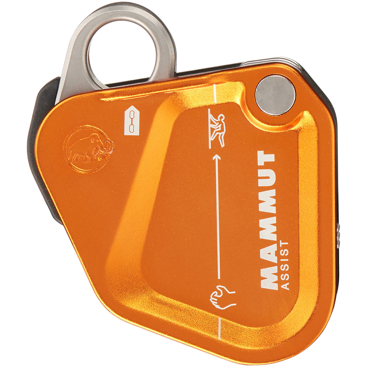 Mammut Assist Belay Resistor Sicherungsgerät