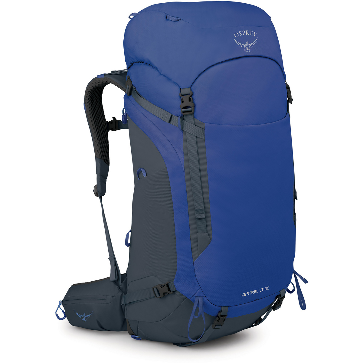 Osprey Kestrel LT 65 Rucksack