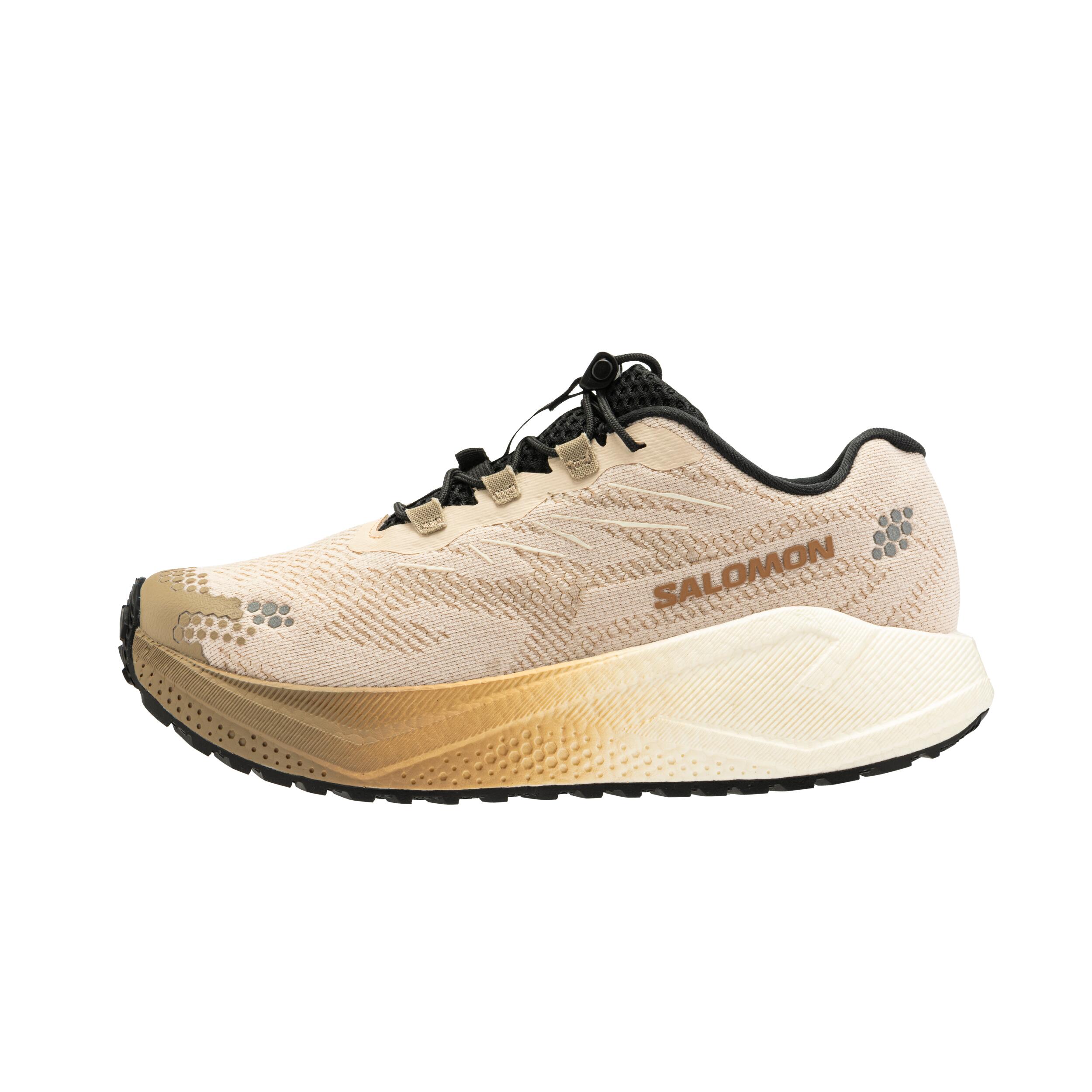 Laufschuhe Straße/Wege Damen Salomon - Aero Blaze beige