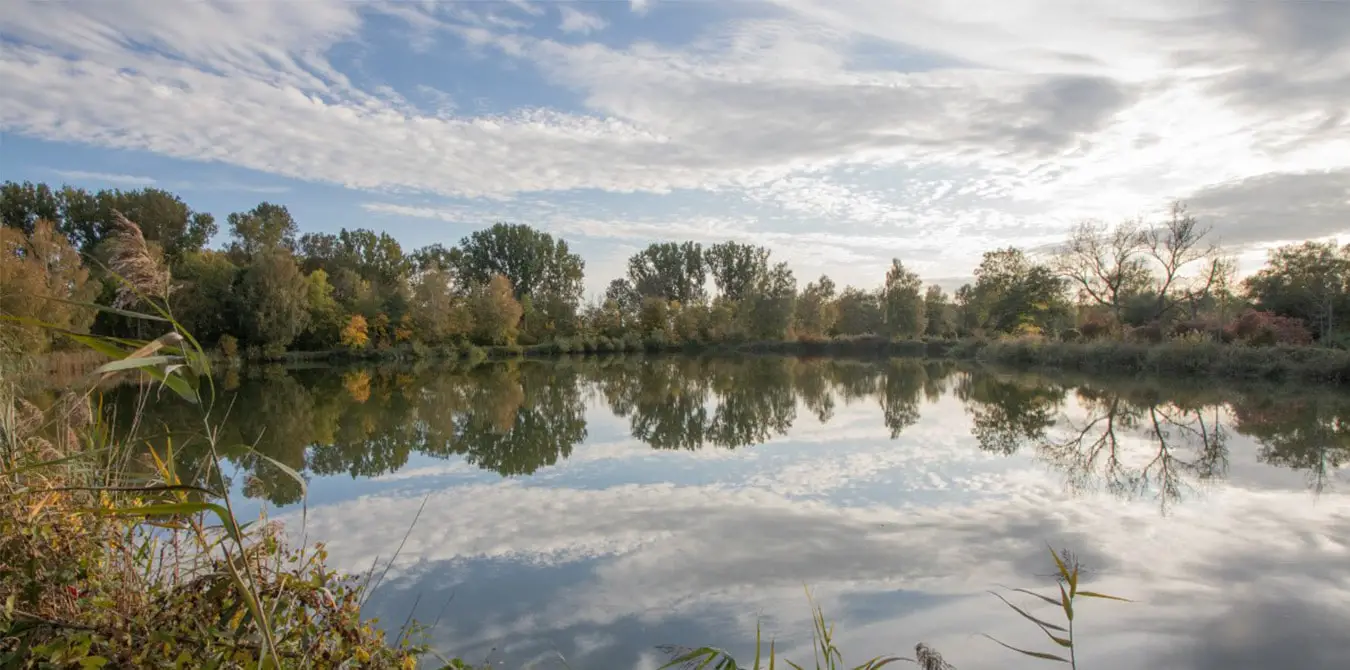 Donauwald