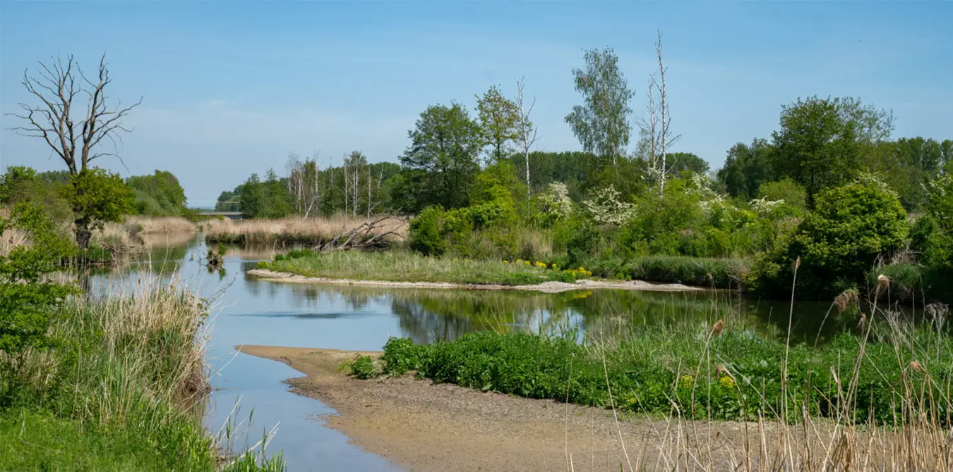 Donauwald