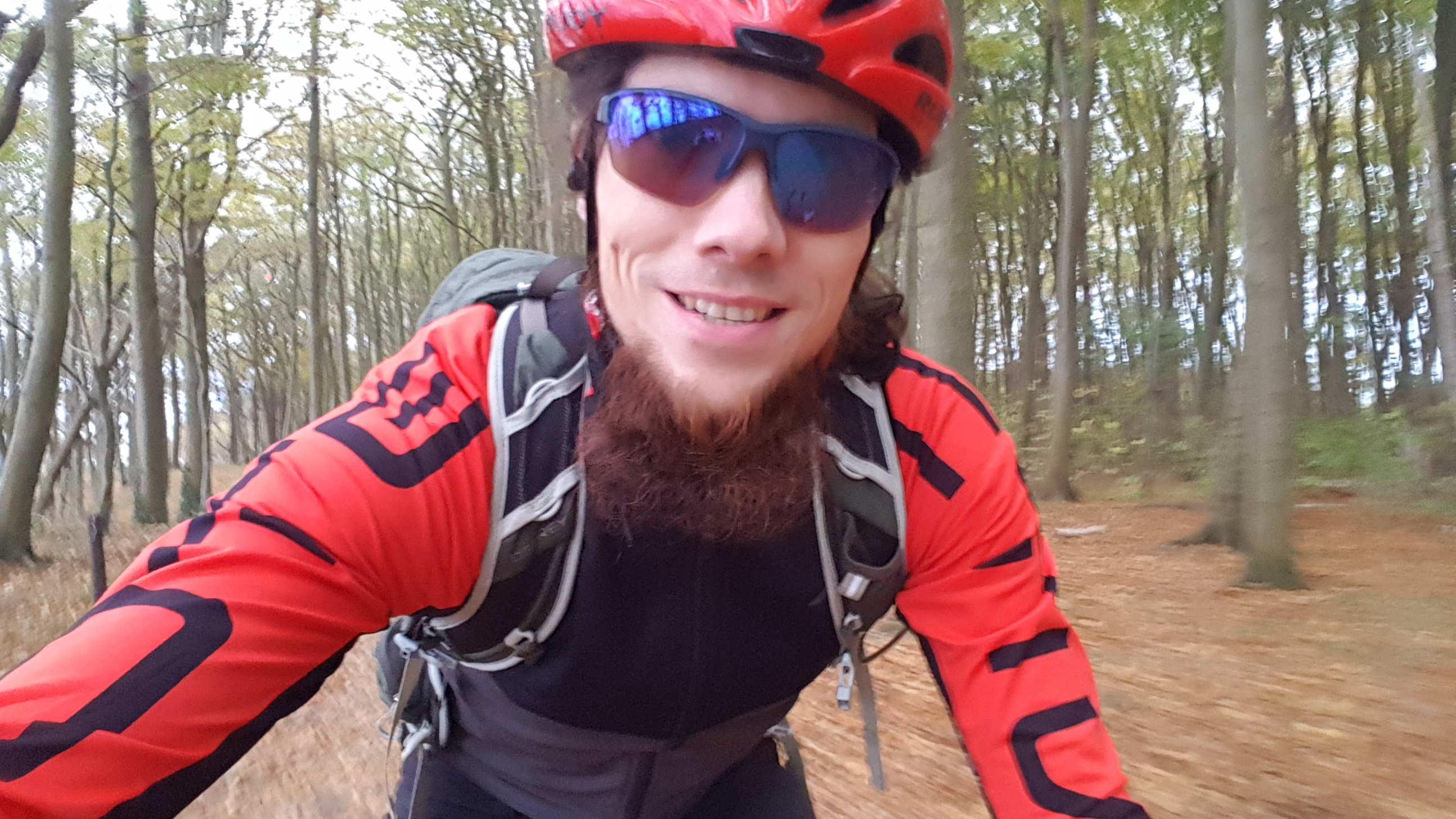 ab durch den Herbstwald bei Warnemünde