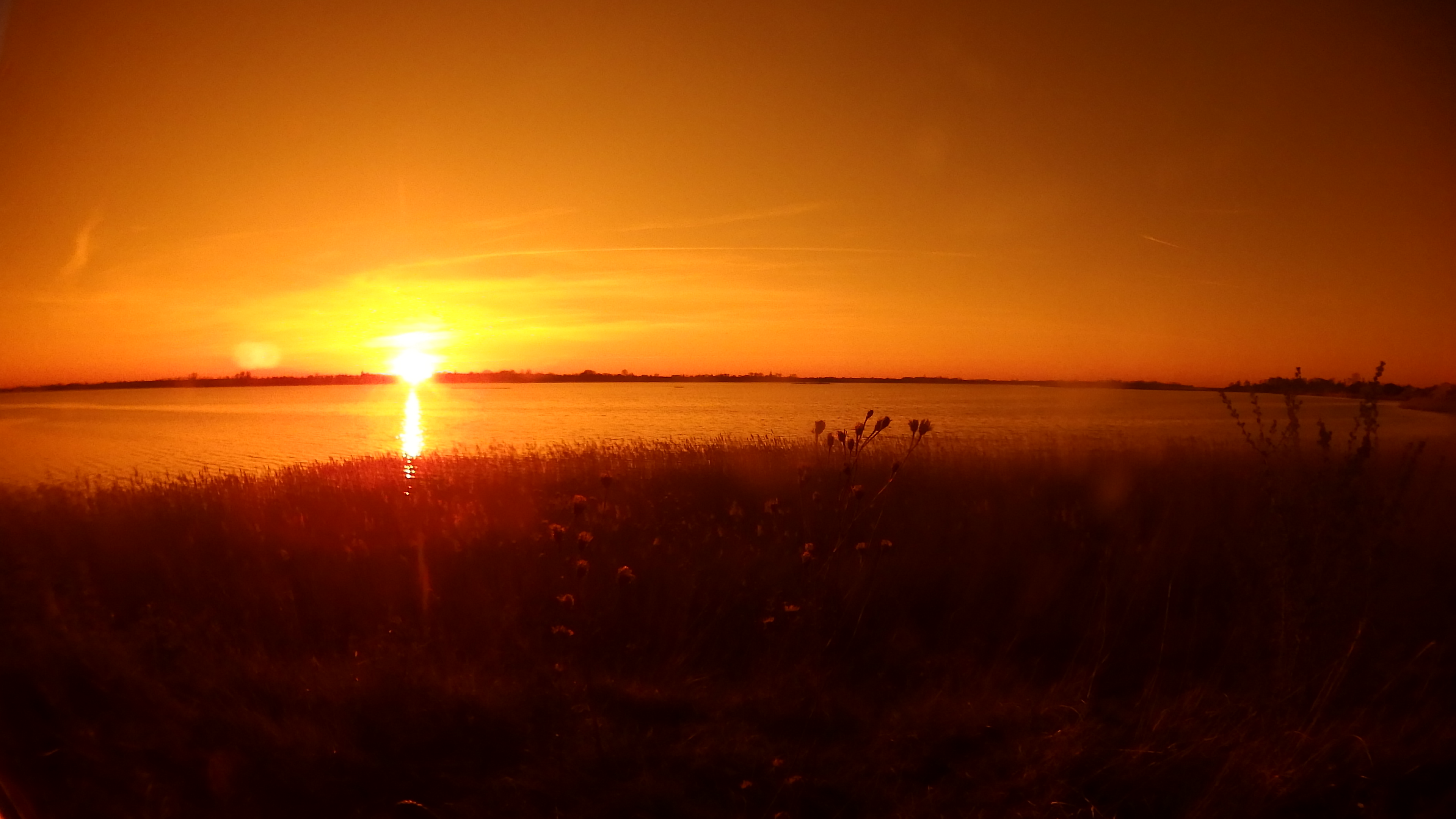Blick durch die orangen Gläser