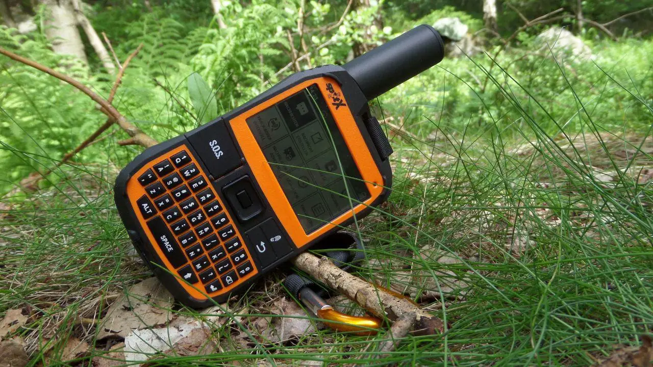 Spot X auf dem Waldboden
