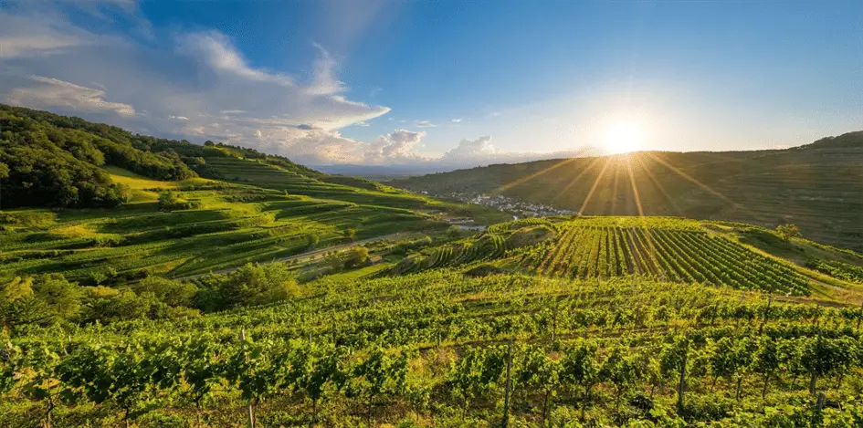 Wandern Schwarzwald Kaiserstuhl