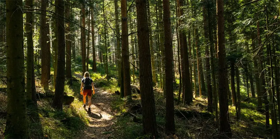 Nördlicher Schwarzwald Stiefelreisen
